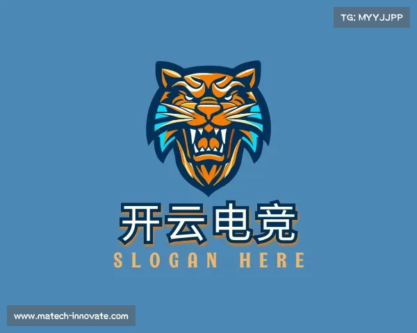 介绍开云电竞